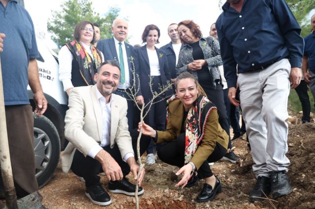 Antalya Büyükşehir Belediyesi Manavgat’ta zeytin festivali düzenledi