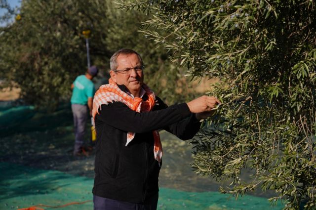 Ayvalık Belediye Başkanı Ergin Dünya Zeytin Ağacı Günü’nü kutladı