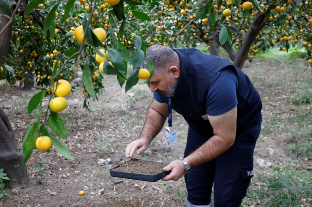 Hatay Büyükşehir çiftçilere ücretsiz toprak analizi desteği veriyor