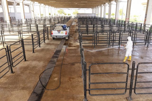 Kahramanmaraş Büyükşehir’den Hayvan Pazarı’nda ilaçlama