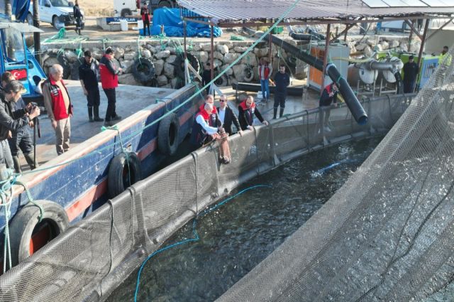 Hirfanlı’dan Sinop’a Türk Somonu Sevkiyatı