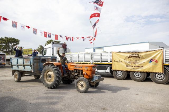 Mersin Büyükşehir üreticiye küçükbaş hayvan ve yem desteği sağlıyor