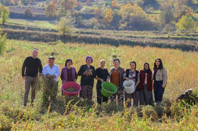 Samsun BŞB'den Sözleşmeli Tarım Modeli: Üreticiye Alım Garantisi