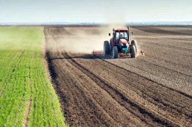 Tarım Bakanlığı: ÇKS 2026 başvuruları 31 Aralık’ta sona eriyor