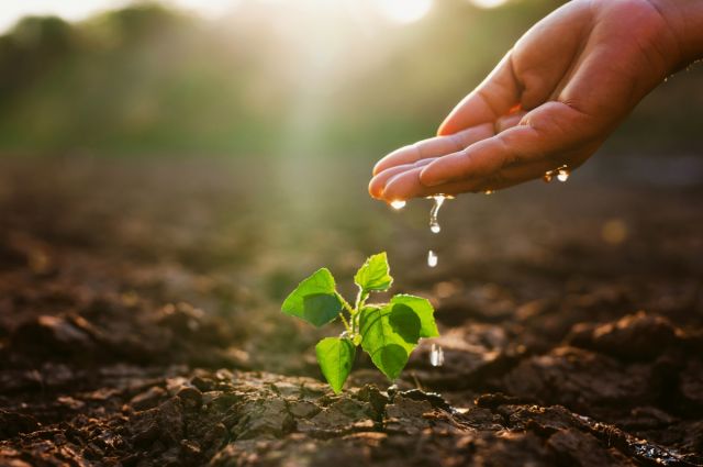 TEMA Vakfı: Toprak Kaybı 2050’de Yüzde 90’a Ulaşabilir