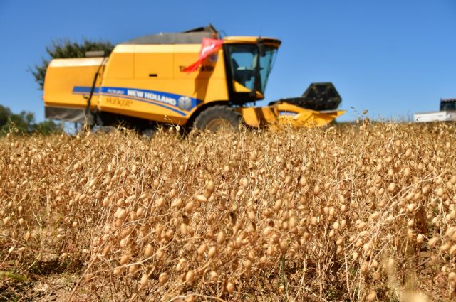 Ticaret Bakanlığı Nohut İthalatındaki Gözetim Tebliğini Kaldırdı