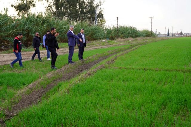 Adana İl Tarım buğday ekim alanlarında inceleme yaptı