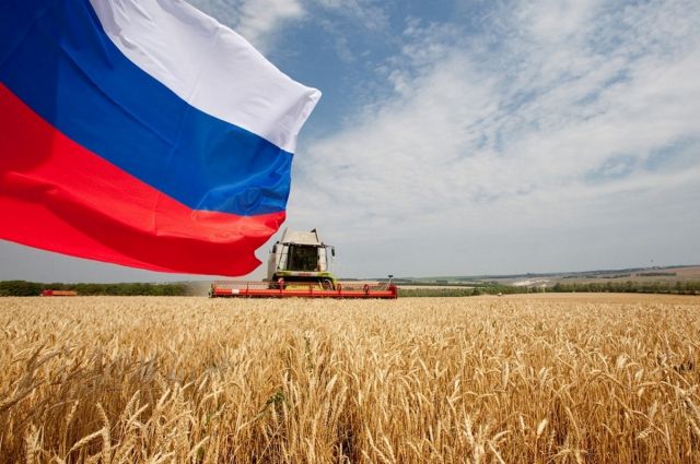 Agroexport: Rus buğdayı Orta Doğu’da konumunu koruyor