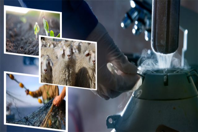 Bakan Yumaklı: 1,1 milyar liralık destek ödemesi bugün hesaplarda