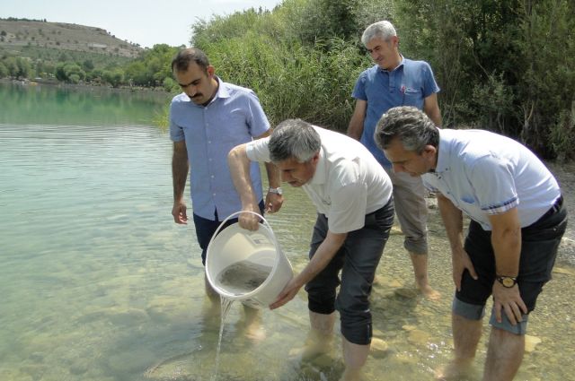 Bakan Yumaklı: 2025’te Sulara 83 Milyon Yavru Balık Salındı