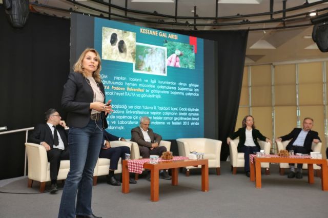 Bursa Büyükşehir Belediyesi ‘Kestanenin Geleceği’ paneli düzenledi