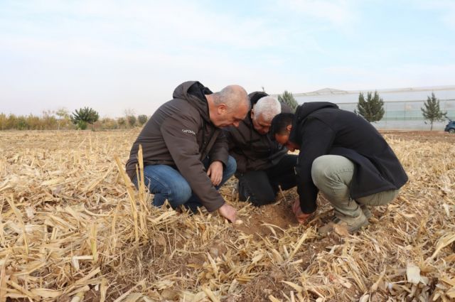 Büyükşehir’de tarımda yenilikçi ekim denemesi