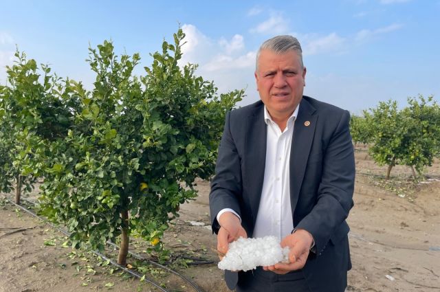 CHP’li Barut: Adana’da dolu tarımı vurdu, acil destek çağrısı