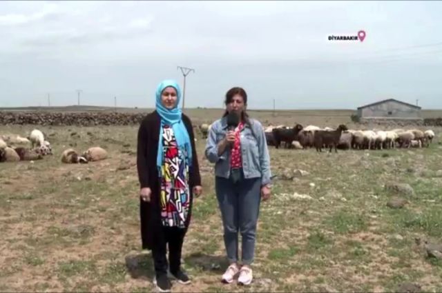 Diyarbakır’da Uzman Eller Projesi genç üreticiye destek oldu