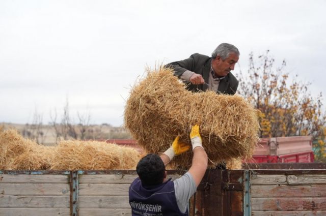 Eskişehir Büyükşehir Belediyesi Günyüzü’ndeki çiftçilere destek verdi