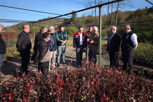 Giresun İl Tarım Müdürlüğü maviyemiş fidanı dağıttı