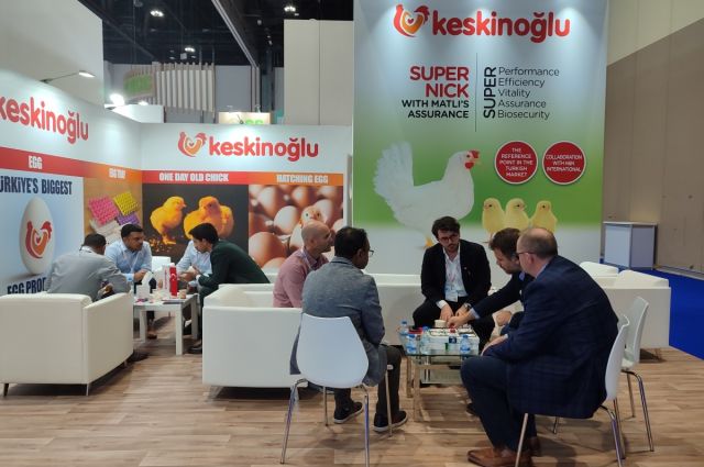 Keskinoğlu, Abu Dhabi’de VIV MEA 2025’te damızlıklarını tanıttı