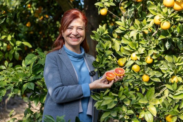 Mersinden Kadın Kooperatifi Mersin Kan Portakalına Coğrafi İşaret Aldı