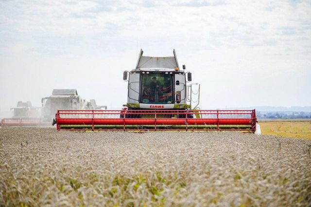 Rusya Hükümeti üç bölgeye gümrüksüz tahıl kotası verdi