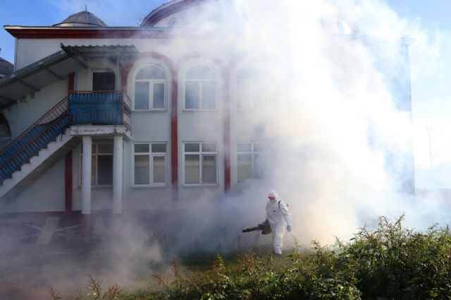 Samsun İl Tarım: Kahverengi Kokarca Kışlak Mücadelesi Sürüyor