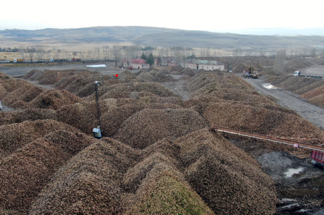Sukkar Şeker Erzurum ve Erzincan’da 80 bin ton şeker üretti