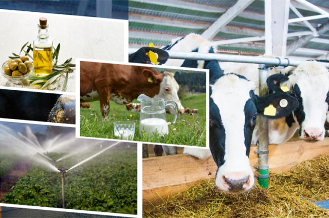 Tarım Bakanı Yumaklı: 2 Milyar Lira Destek Bugün Ödeniyor