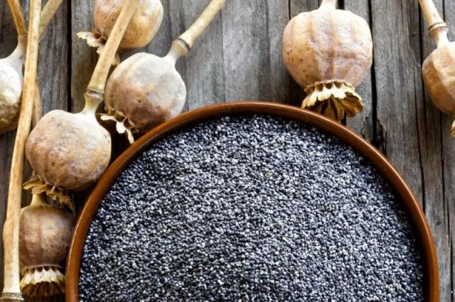 TMO, mavi renkli haşhaş tohumunun satışına devam ediyor