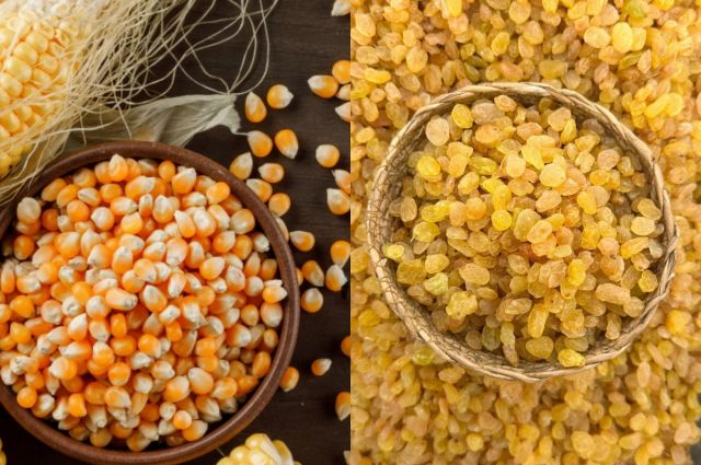 TMO, Mısır ve Kuru Üzüm Alım Ödemelerinde 1,3 Milyar TL’yi Üreticilerin Hesaplarına Aktardı