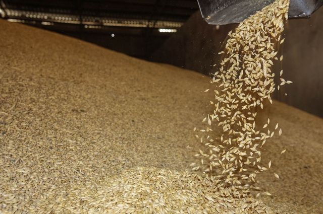 TÜİK: Tarım-ÜFE Kasım 2025’te aylık yüzde 1,56 geriledi