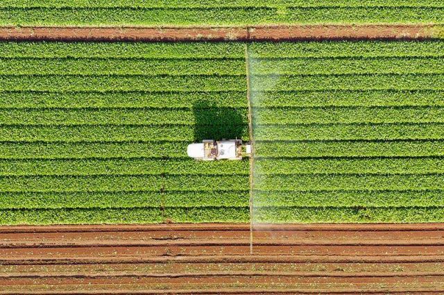 TÜİK: Türkiye’de bitkisel üretim 2025’te geriledi