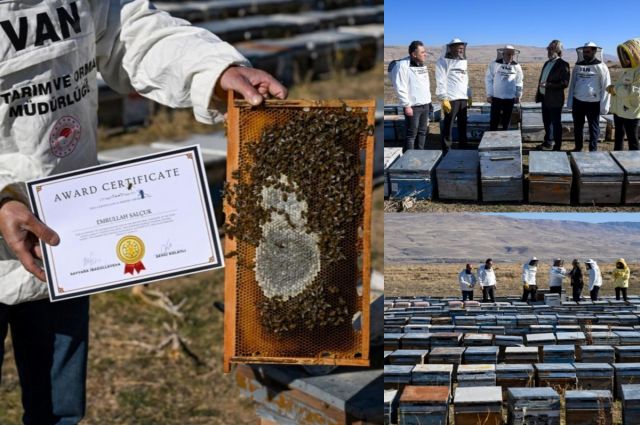 Van balı Bakü’de altın madalya kazandı