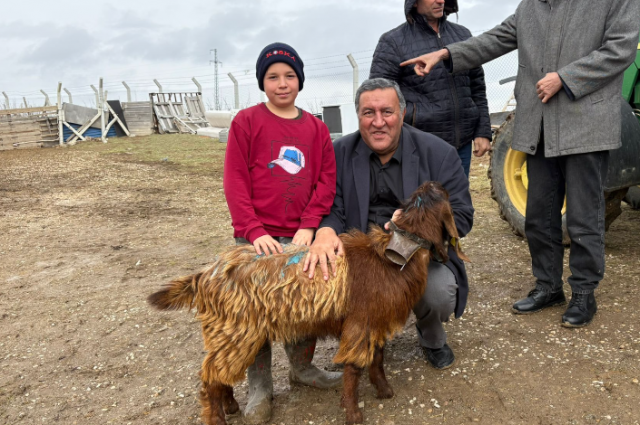 CHP’li Gürer: Ankara Haymana Culuk Köyü’nde hayvancılık hızla geriliyor