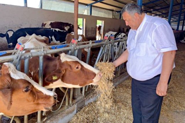 CHP’li Gürer: USDA Raporu Hayvancılıktaki Krizi Gösterdi