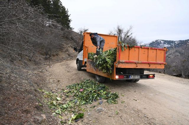 Isparta Belediyesi, kış aylarında yaban hayvanları için gıda desteği sağladı