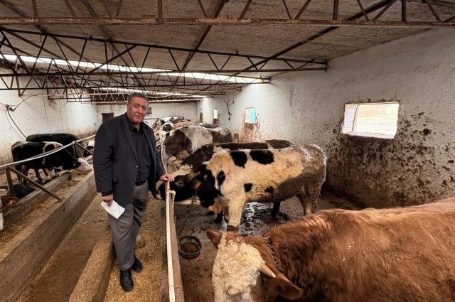 Ömer Fethi Gürer: Şap hastalığı Niğde’de süt ve buzağı kaybını artırdı