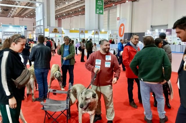 Pet İzmir 2026 Fuarı Gaziemir’de üçüncü gününde sürüyor
