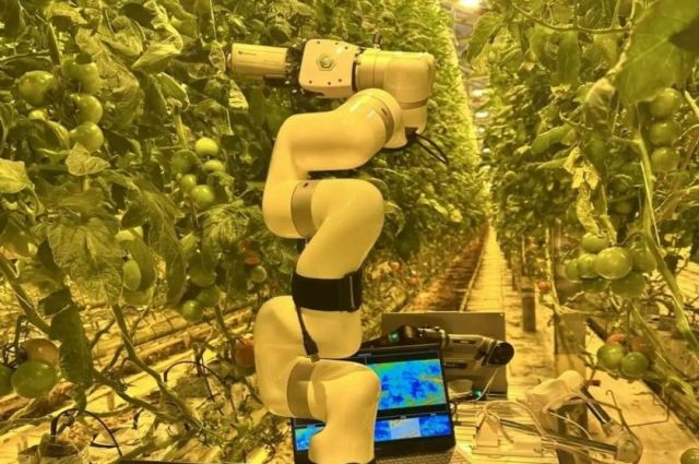 Stavropol Tarım Üniversitesi seralar için robotik teşhis sistemi tanıttı