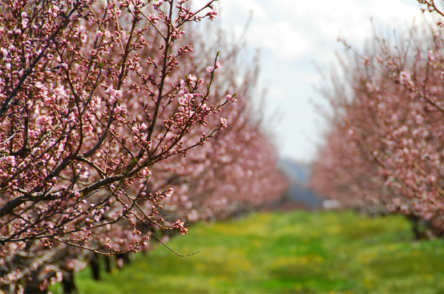 Tarım Bakanı Yumaklı: TARSİM kapsamı genişletildi