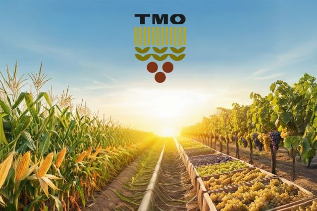 TMO, Mısır ve Kuru Üzüm Alımları İçin 360 Milyon TL Ödeme Yaptı