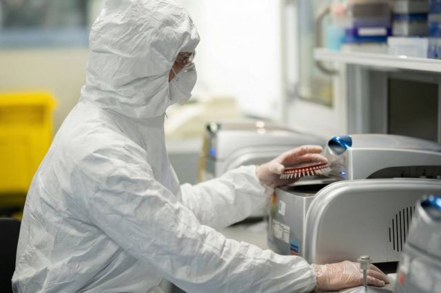 Yeni Şap Virüsü Suşu İçin Patent Alındı