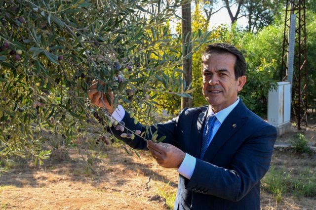 ATB: Antalya zeytinyağında 2035’e kadar 30 adım belirlendi