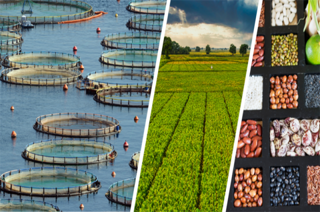 Bakan Yumaklı: 255,4 milyon TL destek ödemesi yapıldı