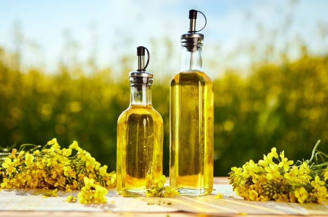 Belarus: Kolza Yağı Üretiminde Dünyada İlk 10’da