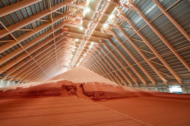 Brezilya Büyükelçisi: Belarus’tan potas gübresi alımı artacak