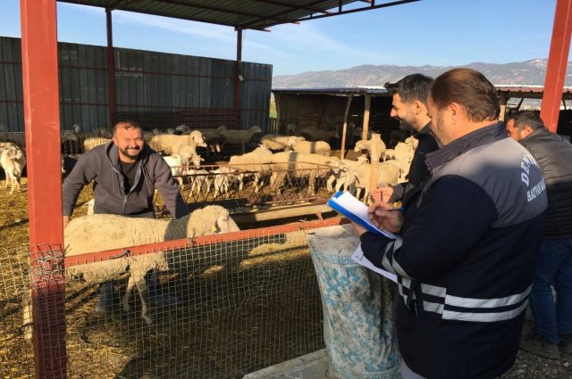 Denizli İl Tarım’dan 2025’te Hayvancılıkta Rekor Aşılama ve İhracat