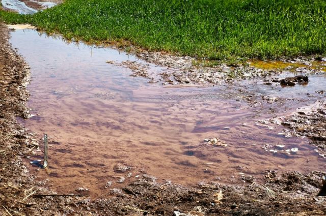 Dicle Elektrik: Şanlıurfa’da tarımsal sulamada kaçak alarmı