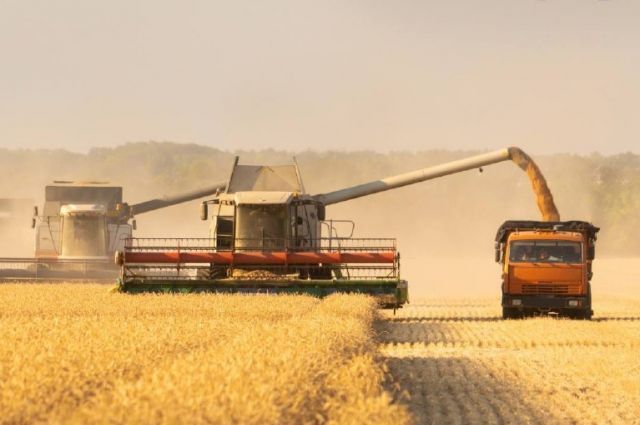 Kazakistan Tahıl İhracatında Yeni Vergi Koduyla Fiyatlar Yükseldi