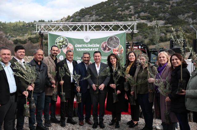 Muğla Büyükşehir Menteşe’de 49 bin meyve fidanı dağıttı