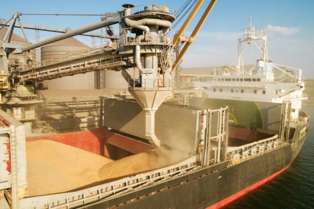 Polonya buğday ihracatı AB dışına sezonda yüzde 53 arttı