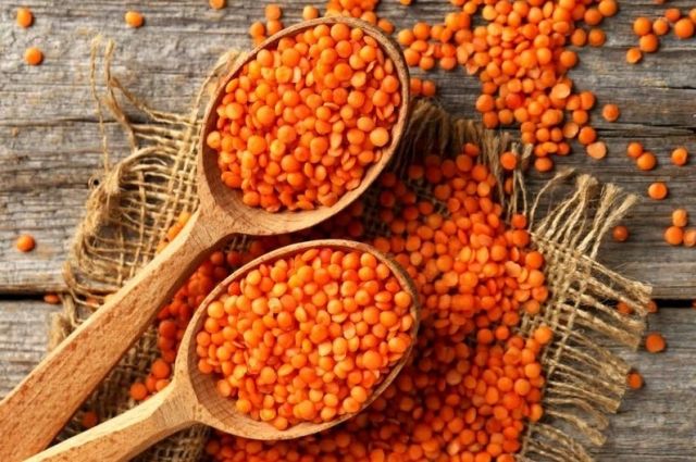 Rusya’dan en çok mercimek ithal eden ülke Türkiye oldu